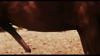 Fotograf sprids av en sexmodell med glasögon efter att ha poserat i ett svensk xxx fält