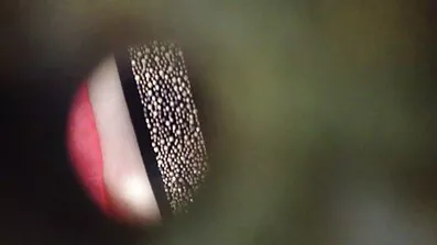 En naiv arton år gammal tog en pickup från en kille och free pornografi gav honom i natura